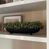 Mini Plant in a Footed Black Boat