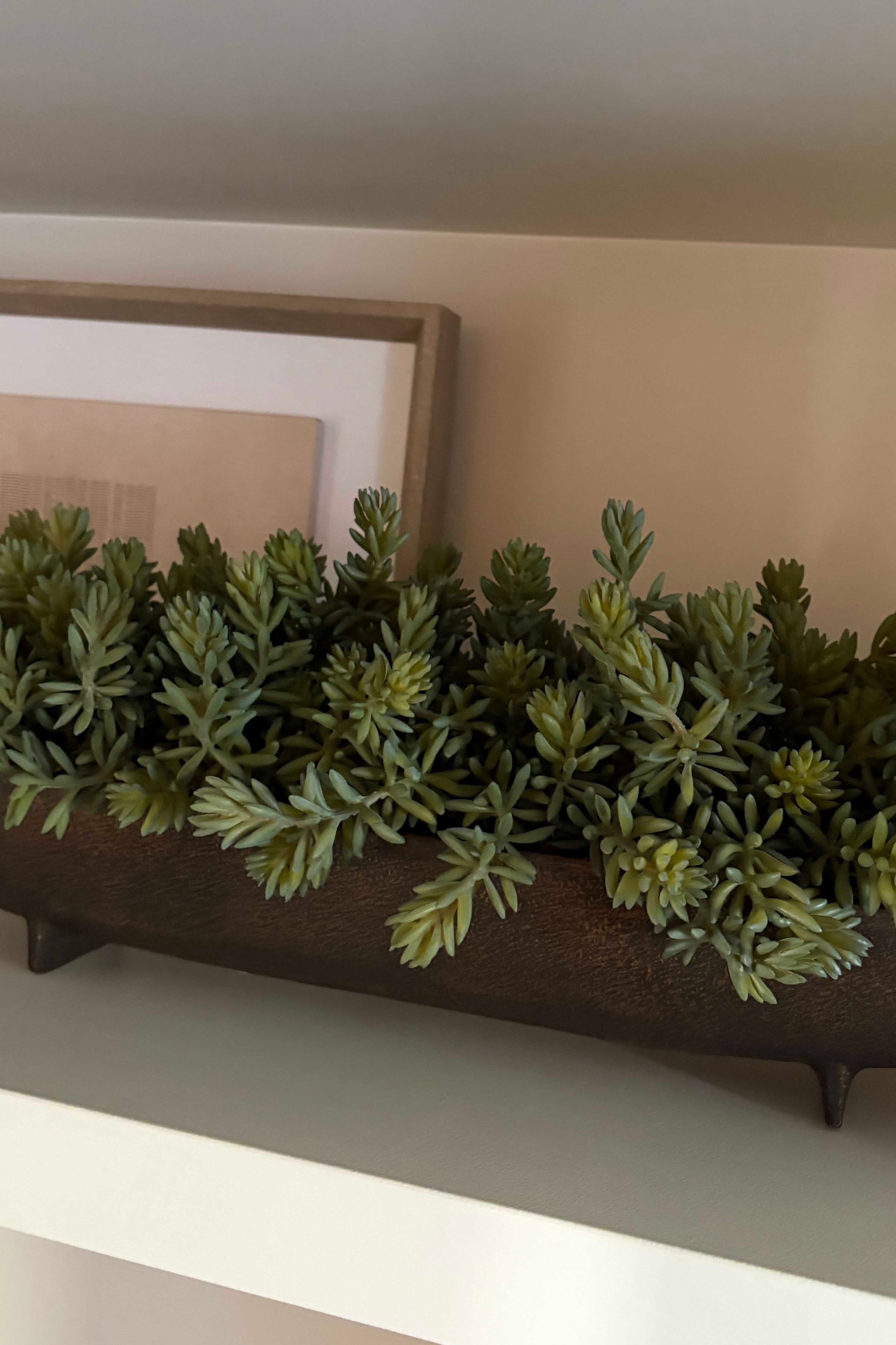 Mini Spiky Succulents in a Hand Painted Bronze Boat RTfact Flowers 