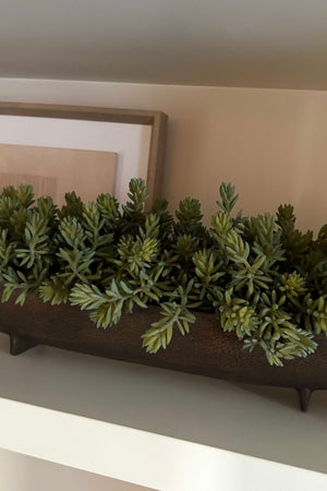 Mini Spiky Succulents in a Hand Painted Bronze Boat RTfact Flowers 