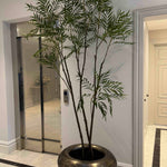 Chamaedorea tree 240cm RTfact Flowers 