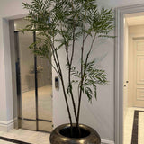 Chamaedorea tree 240cm RTfact Flowers 