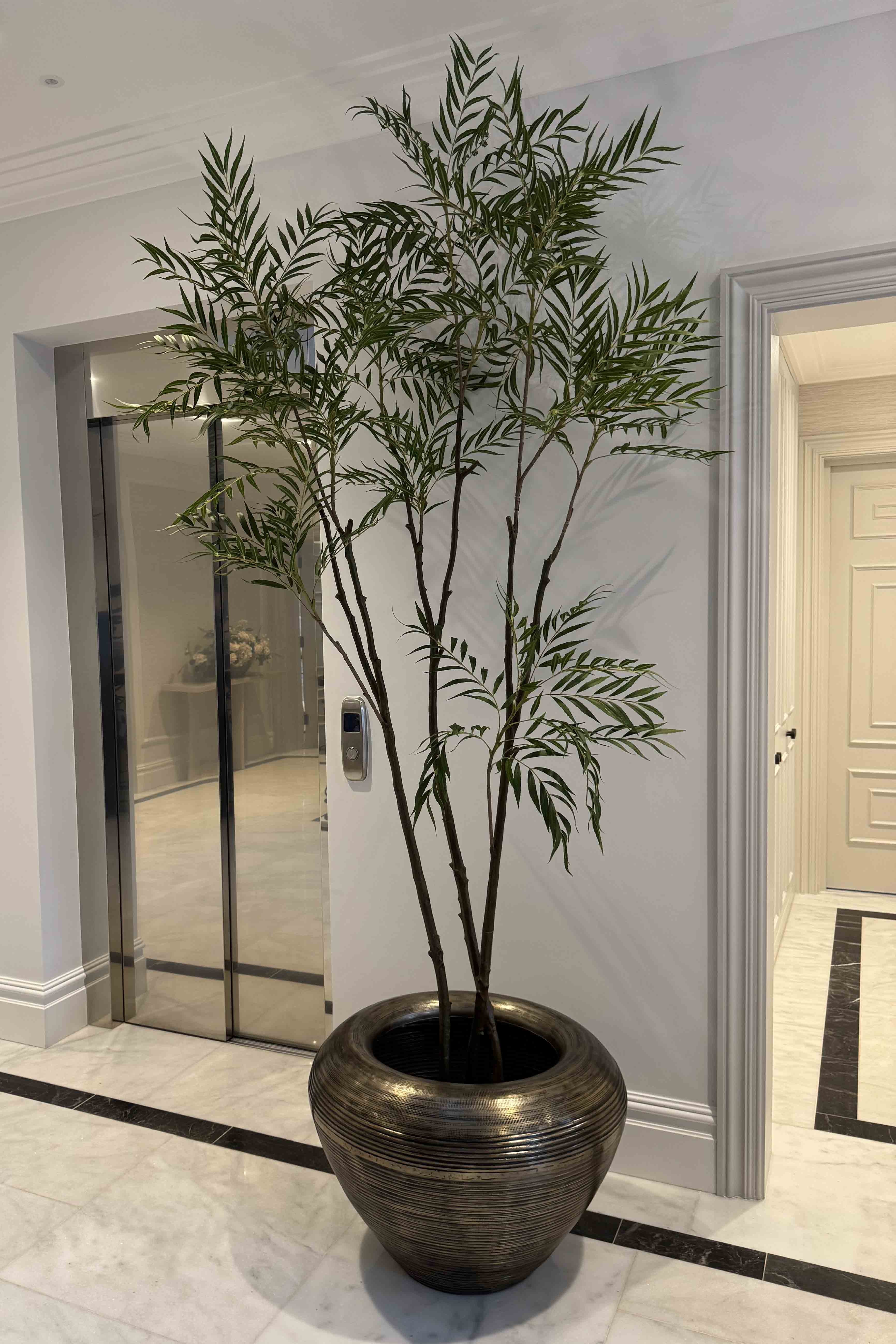 Chamaedorea tree 240cm RTfact Flowers 