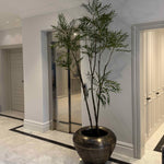 Chamaedorea tree 240cm RTfact Flowers 