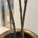 Chamaedorea tree 240cm RTfact Flowers 