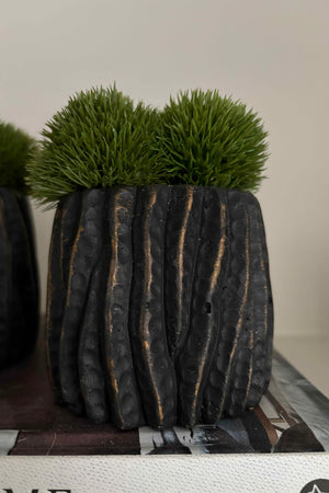 Dianthus in a Bronze Wavy Pot - Small - TO SHOOT RTfact Flowers 