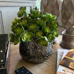 Succulent in a Glazed Mottled Pot RTfact Flowers 