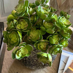 Succulent in a Glazed Mottled Pot RTfact Flowers 