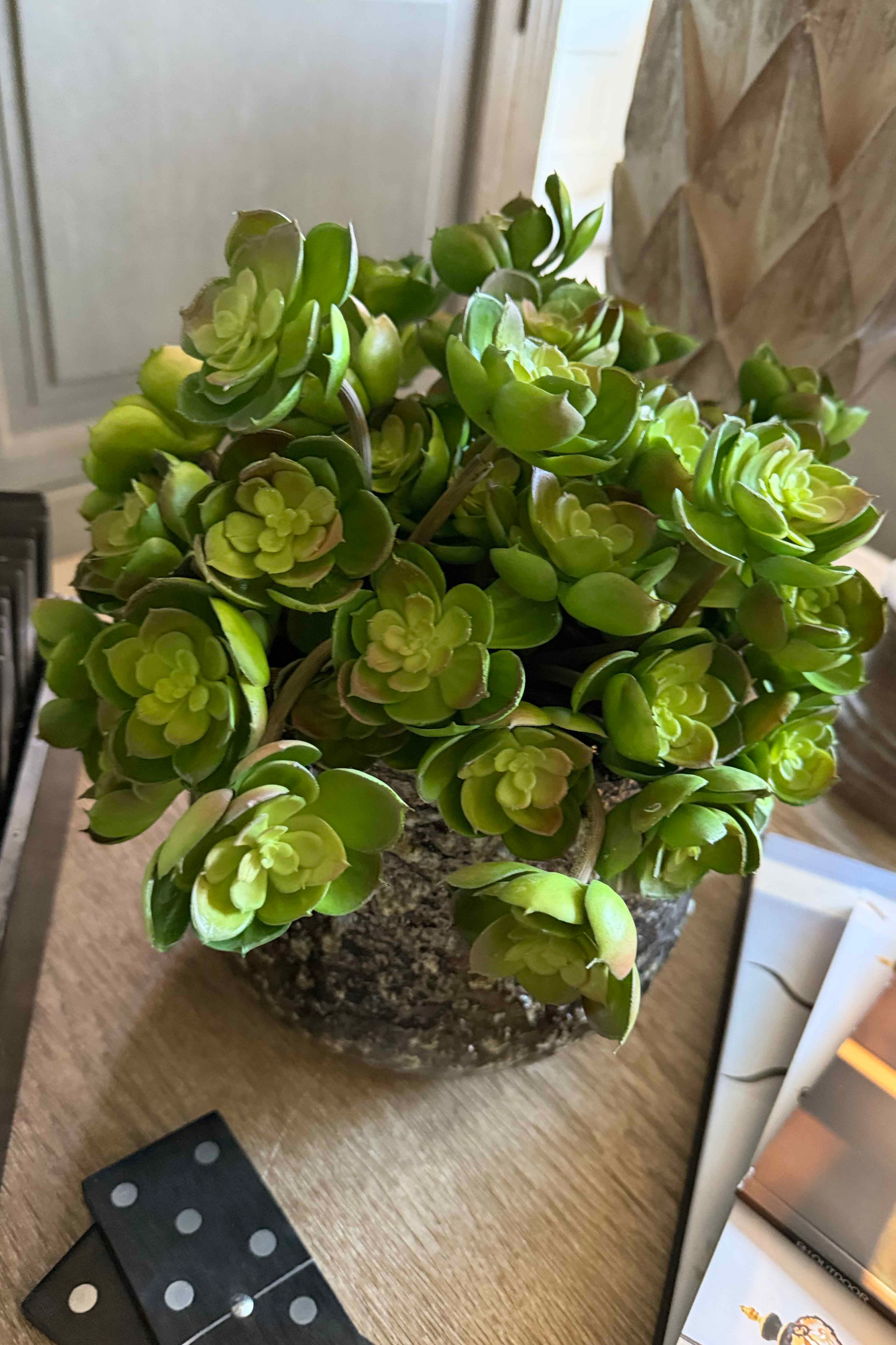 Succulent in a Glazed Mottled Pot RTfact Flowers 