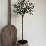 Artificial Olive Tree in a Terracotta Pot RTfact Flowers 