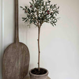 Artificial Olive Tree in a Terracotta Pot RTfact Flowers 