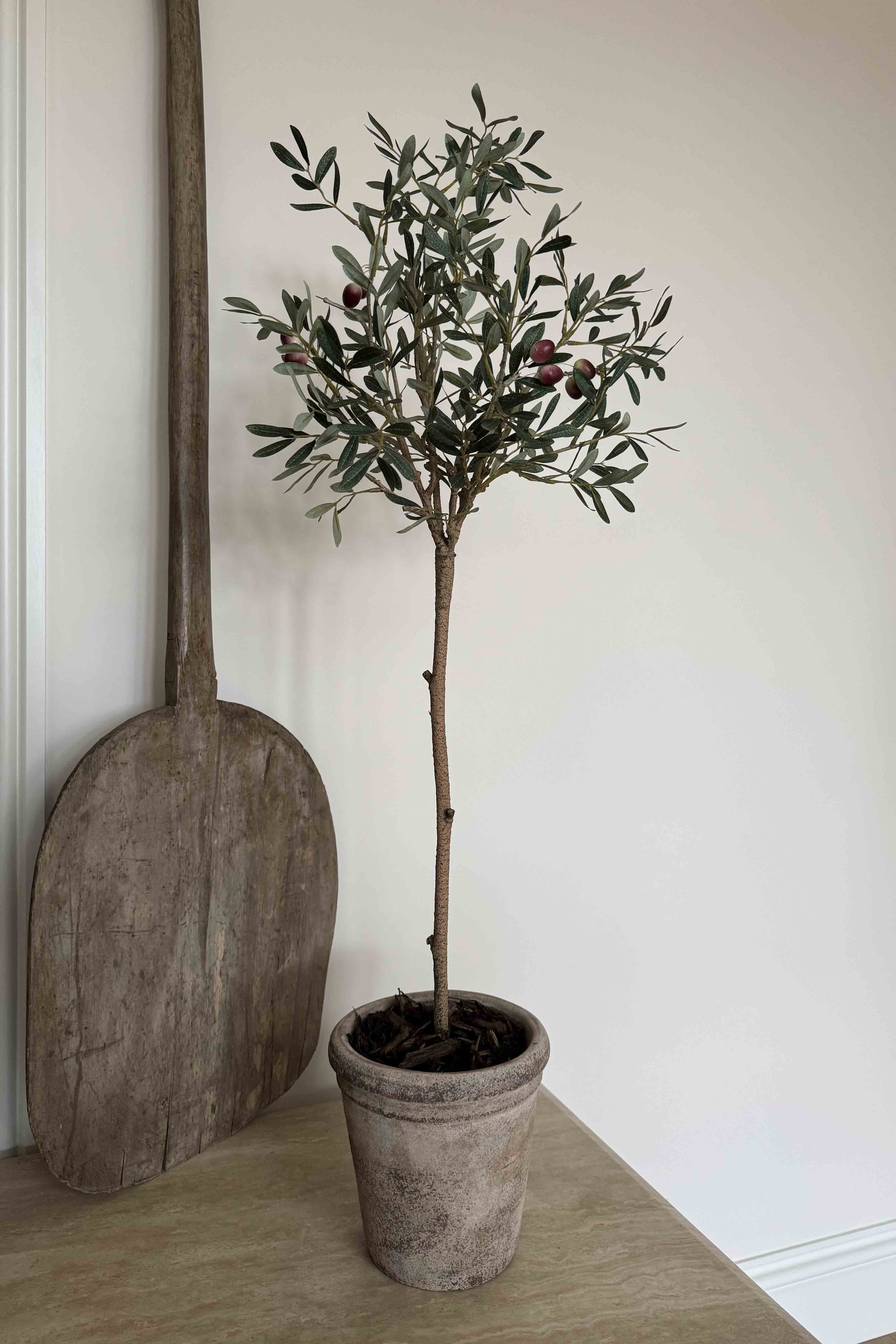 Artificial Olive Tree in a Terracotta Pot RTfact Flowers 