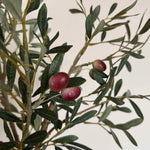 Artificial Olive Tree in a Terracotta Pot RTfact Flowers 