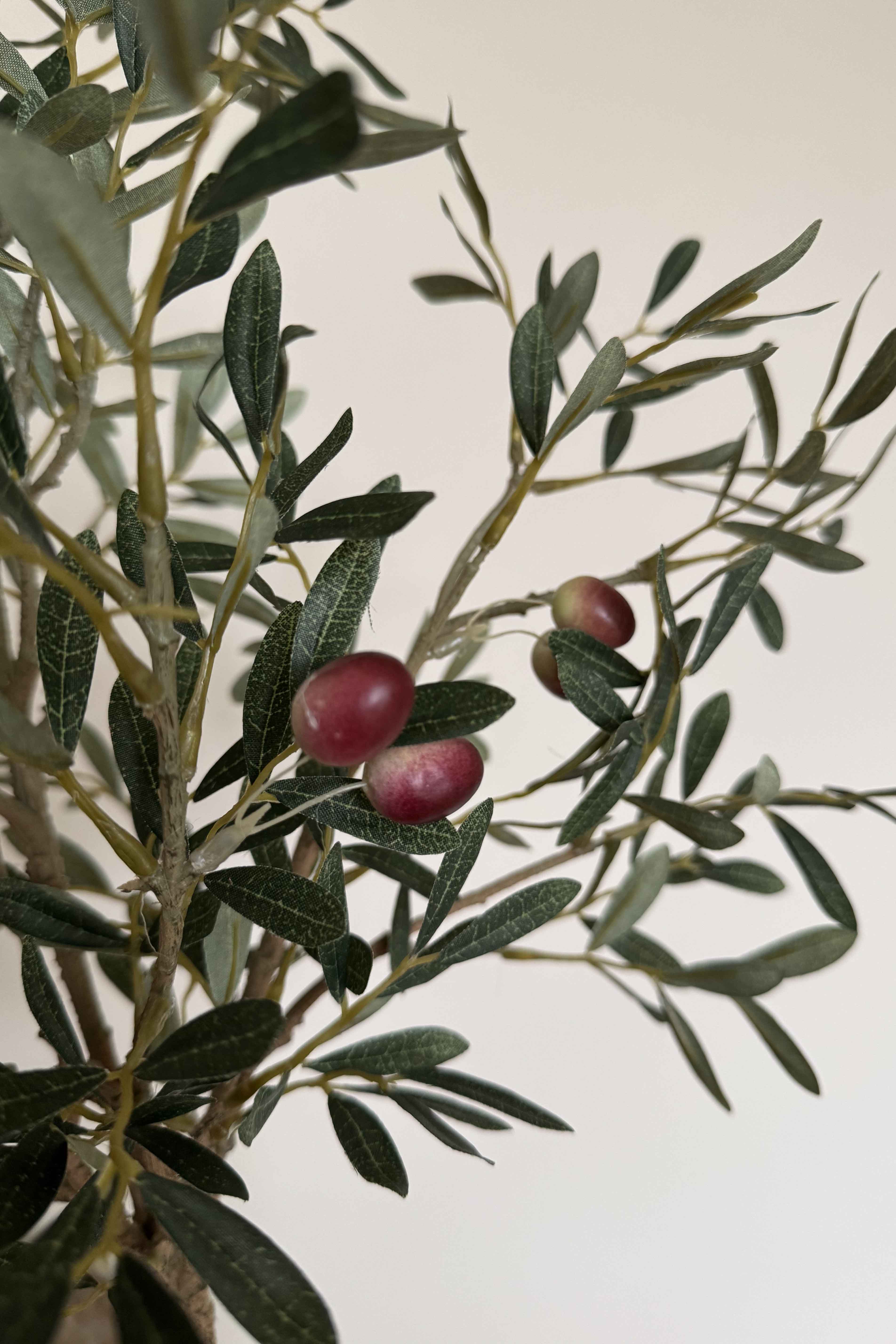Artificial Olive Tree in a Terracotta Pot RTfact Flowers 