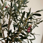 Artificial Olive Tree in a Terracotta Pot RTfact Flowers 