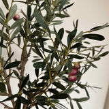 Artificial Olive Tree in a Terracotta Pot RTfact Flowers 
