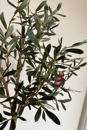 Artificial Olive Tree in a Terracotta Pot RTfact Flowers 
