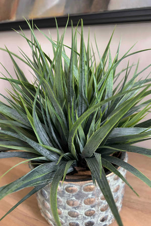 Vanilla Grass in a Distressed Bobble Pot - TO SHOOT RTfact Flowers 