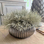 Curly Grass in a Ribbed Pewter/Bronze Bowl RTfact Flowers 