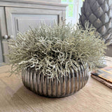 Curly Grass in a Ribbed Pewter/Bronze Bowl RTfact Flowers 