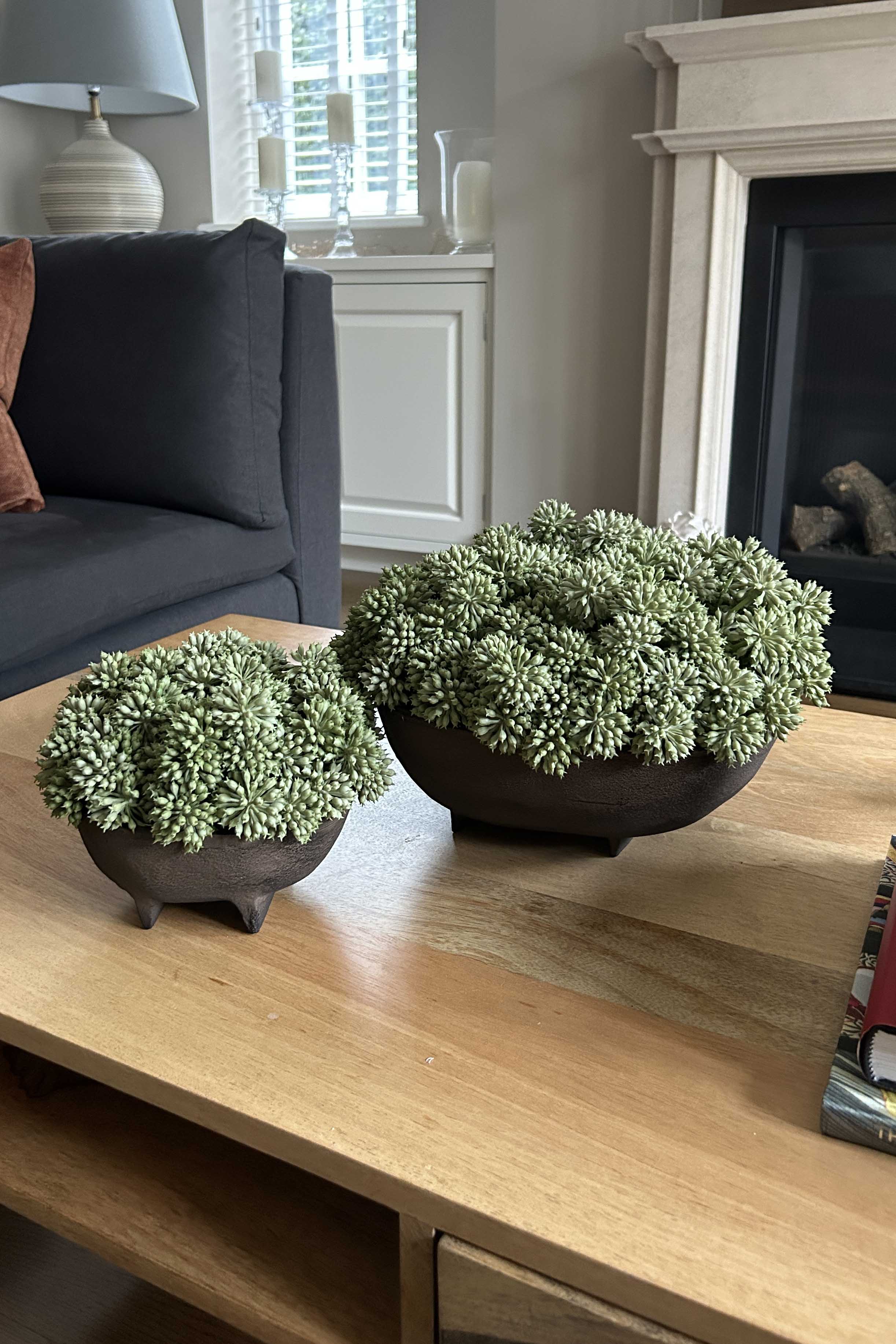 Angelica in a Brown Footed Bowl RTfact Flowers 