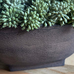 Angelica in a Brown Footed Bowl RTfact Flowers 
