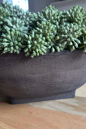 Angelica in a Brown Footed Bowl RTfact Flowers 