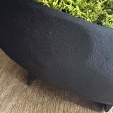 Curly Moss in a Black Footed Bowl - TO SHOOT RTfact Flowers 