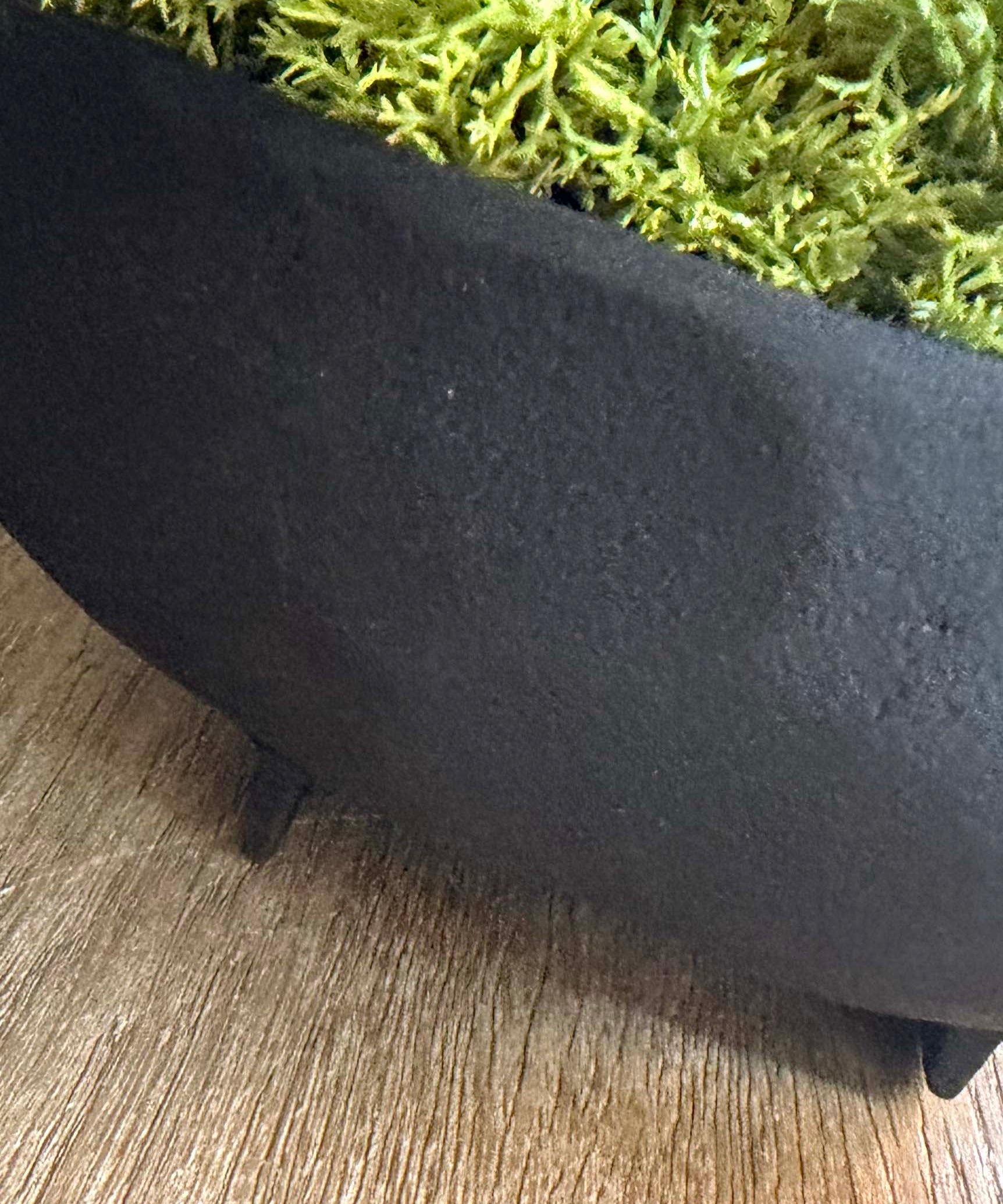 Curly Moss in a Black Footed Bowl - TO SHOOT RTfact Flowers 