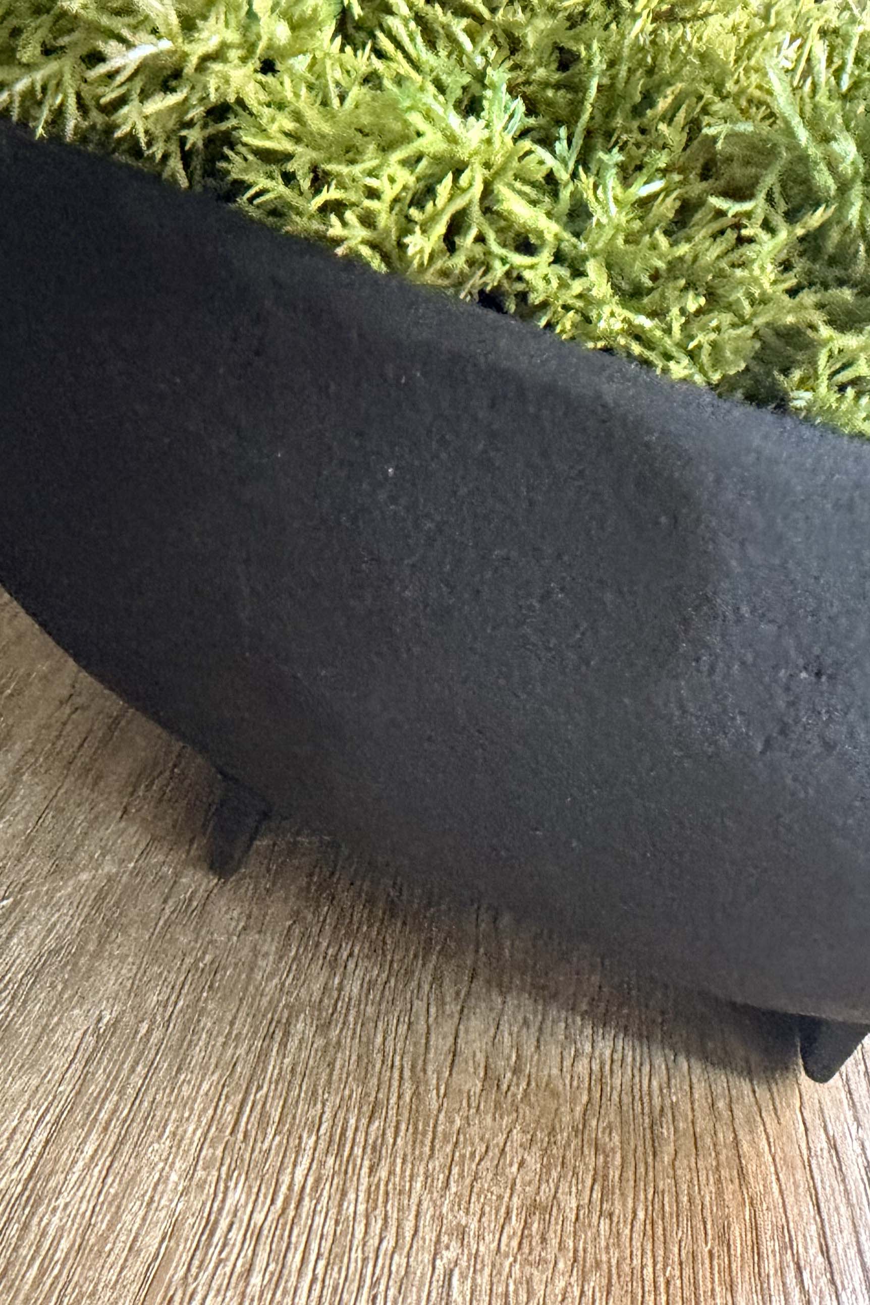 Curly Moss in a Black Footed Bowl - TO SHOOT RTfact Flowers 