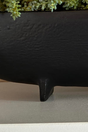 Mini Spiky Succulents in a Hand Painted Bronze Boat RTfact Flowers 