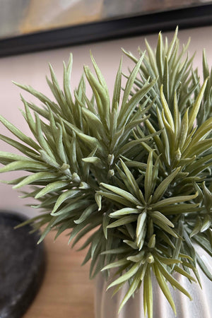 Spiky Succulents in a Glazed Pale Stone Vase RTfact Flowers 