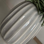 Spiky Succulents in a Glazed Pale Stone Vase RTfact Flowers 