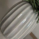 Spiky Succulents in a Glazed Pale Stone Vase RTfact Flowers 