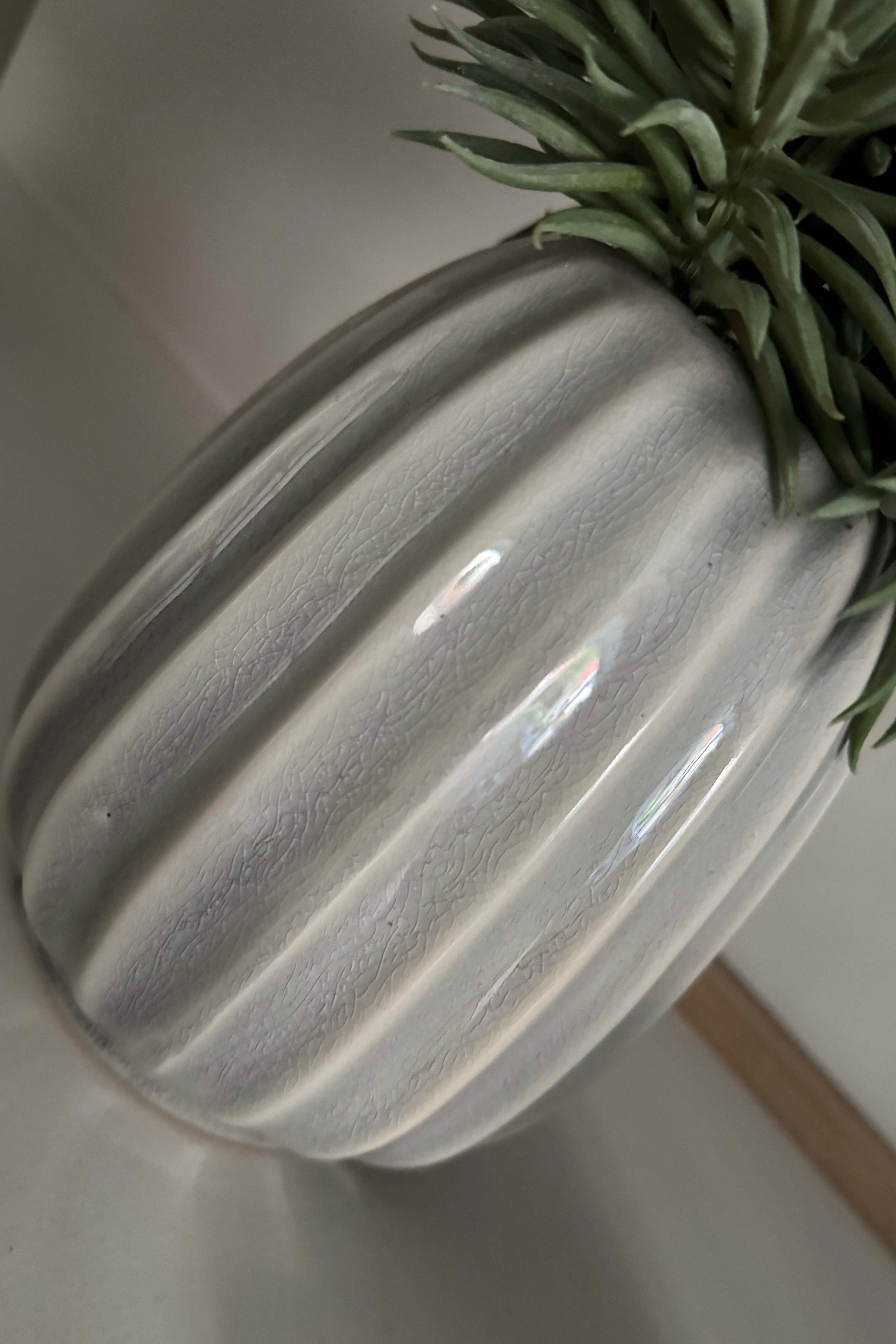Spiky Succulents in a Glazed Pale Stone Vase RTfact Flowers 