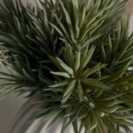 Spiky Succulents in a Glazed Pale Stone Vase RTfact Flowers 