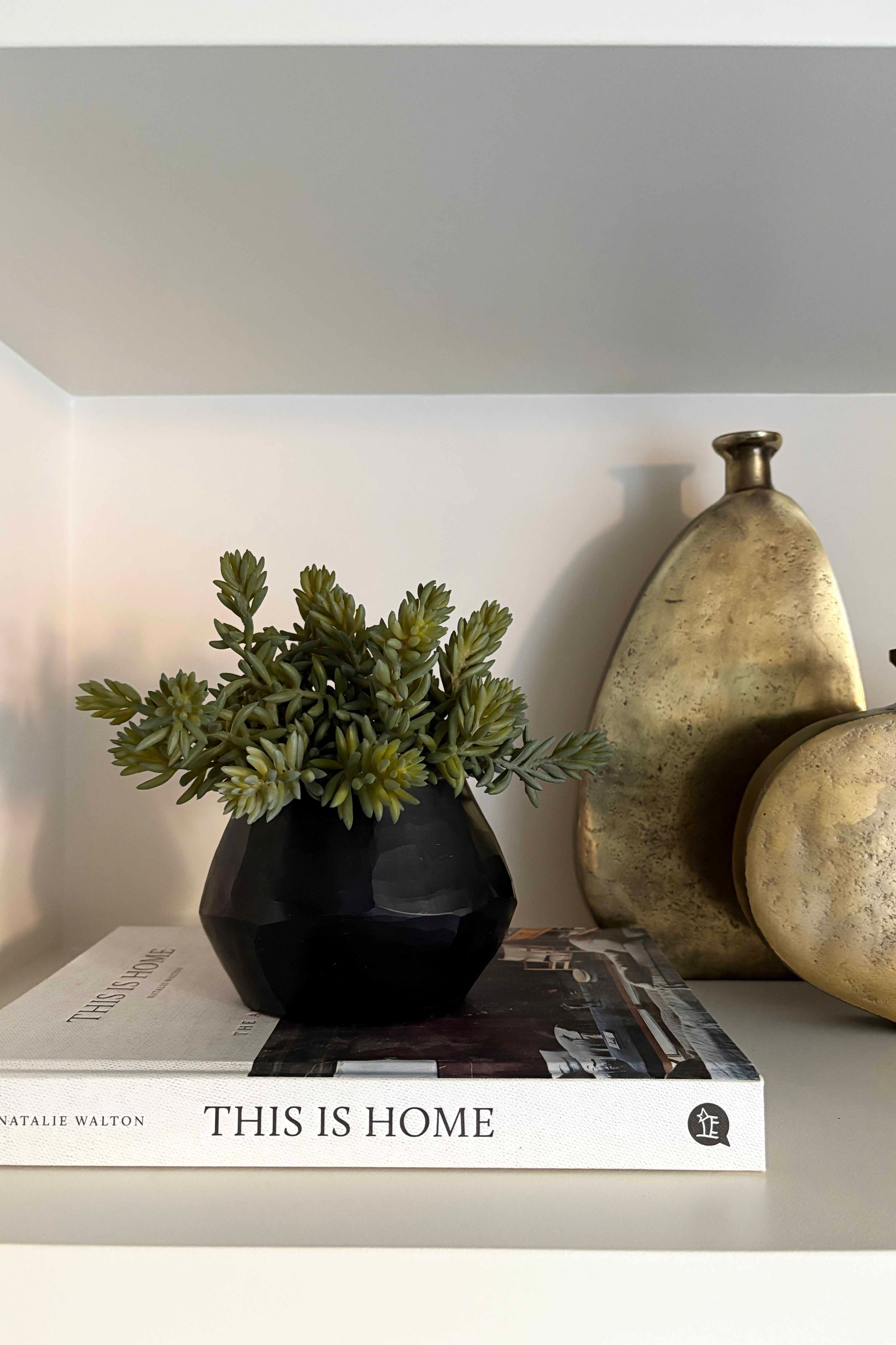 succulents in black vase Mini Spiky Succulents in a Black Glass Vase – RTfact Flowers