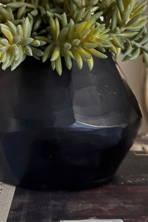 Mini Spiky Succulents in a Black Glass Vase RTfact Flowers 