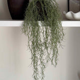 Hanging Watergrass in a Rustic Brown Pot