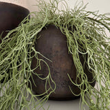 Hanging Watergrass in a Rustic Brown Pot