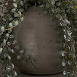 Hanging Succulent in a Rustic Grey Pot