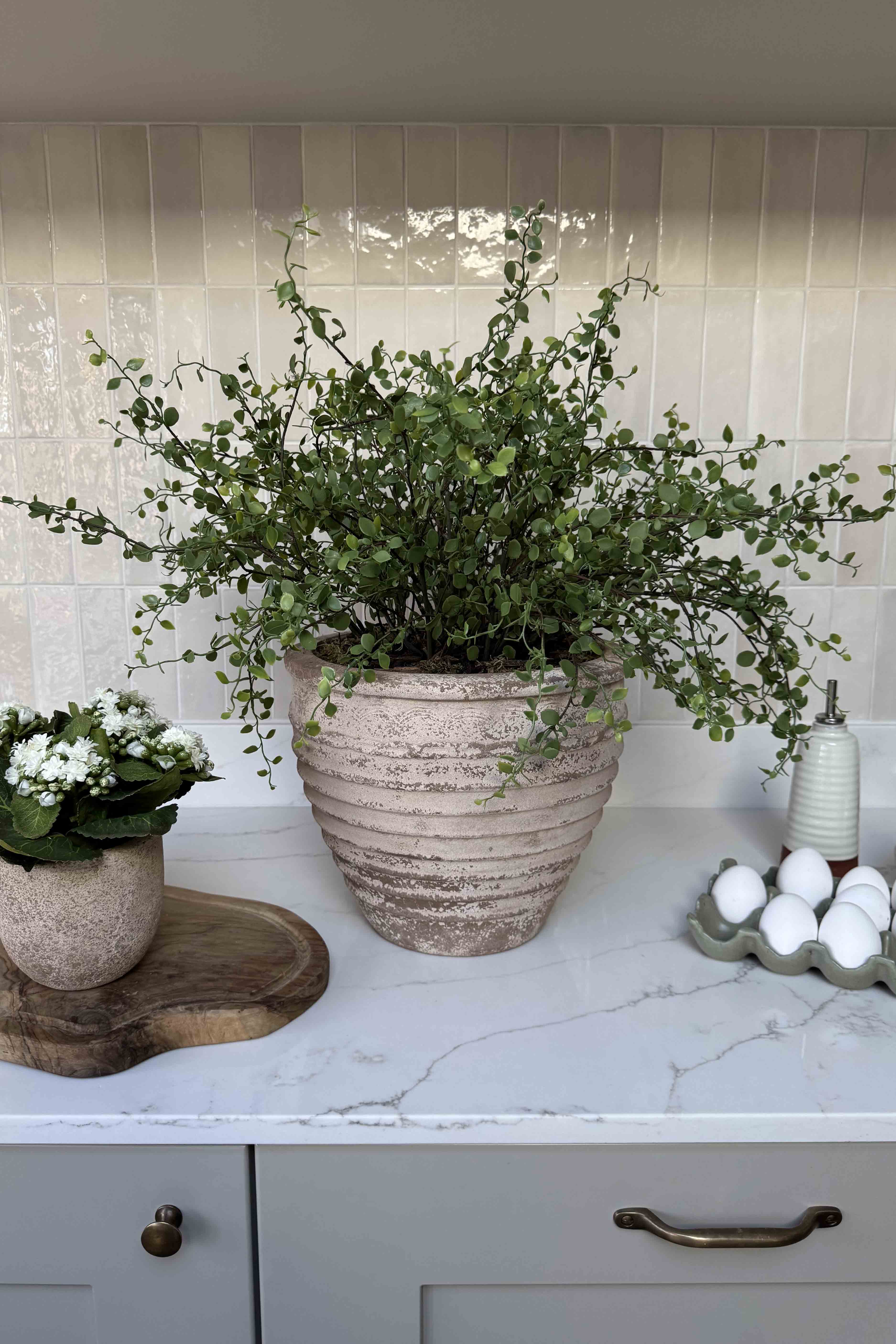 Leaf Spray in a Ribbed Terracotta Pot RTfact Flowers 