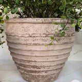 Leaf Spray in a Ribbed Terracotta Pot RTfact Flowers 