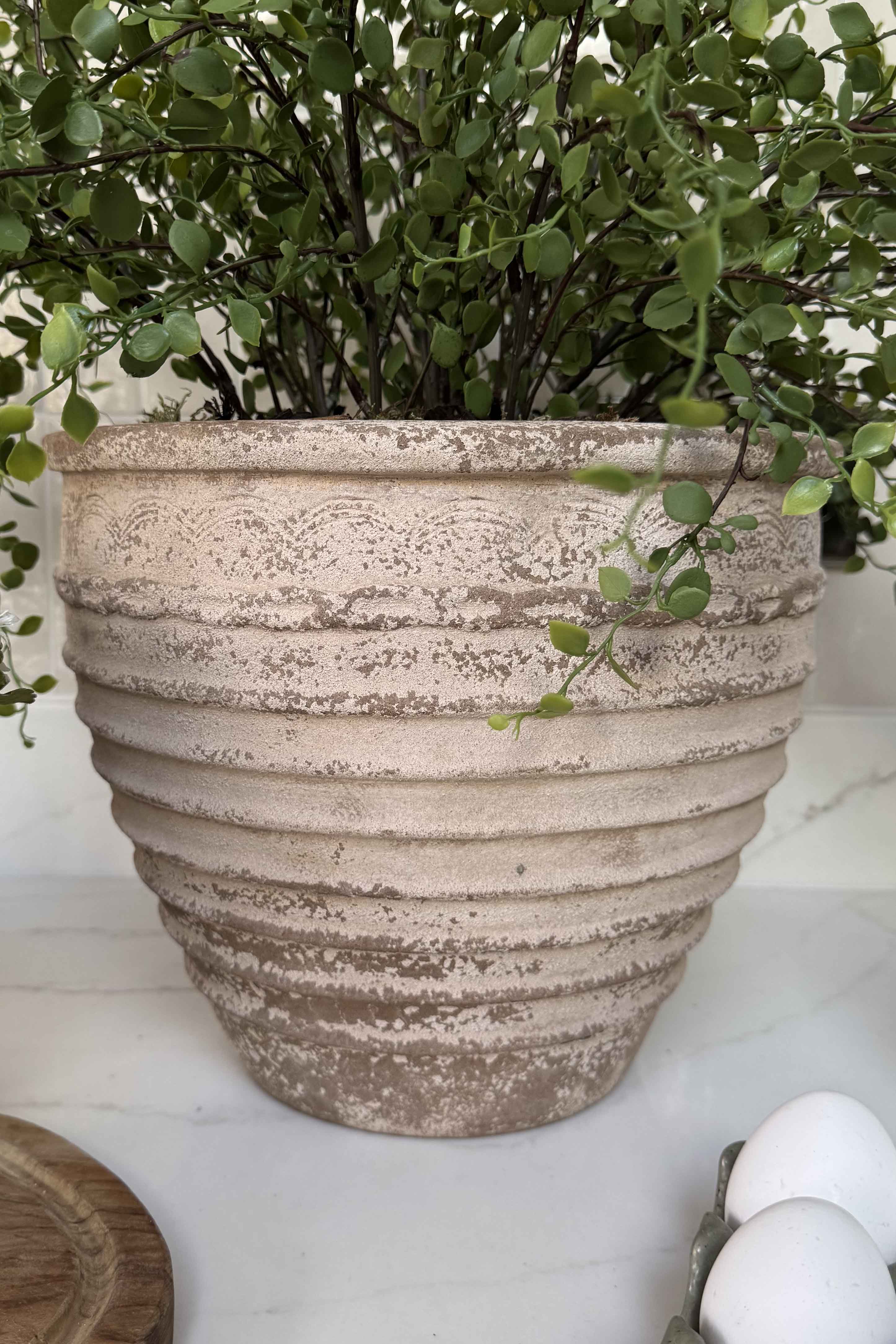 Leaf Spray in a Ribbed Terracotta Pot RTfact Flowers 