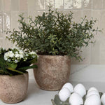 Leaf in a Terracotta Pot RTfact Flowers 