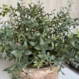 Leaf in a Terracotta Pot RTfact Flowers 