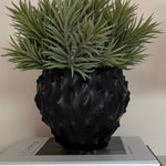 Spiky Succulents in a Black 'Cactus' Vase RTfact Flowers 