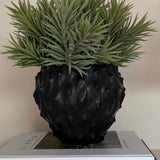 Spiky Succulents in a Black 'Cactus' Vase RTfact Flowers 