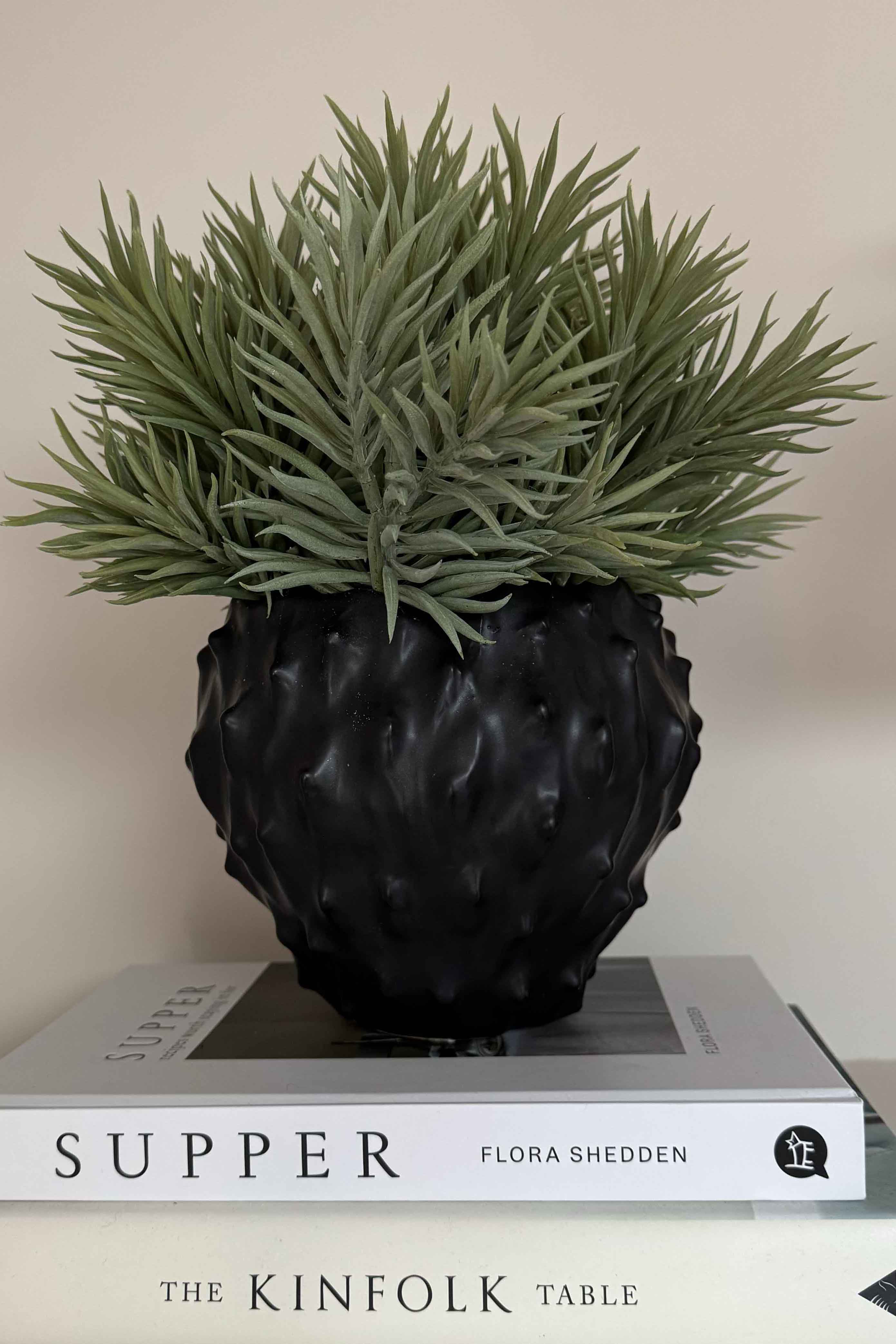 Spiky Succulents in a Black 'Cactus' Vase RTfact Flowers 