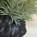 Spiky Succulents in a Black 'Cactus' Vase RTfact Flowers 