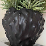 Spiky Succulents in a Black 'Cactus' Vase RTfact Flowers 